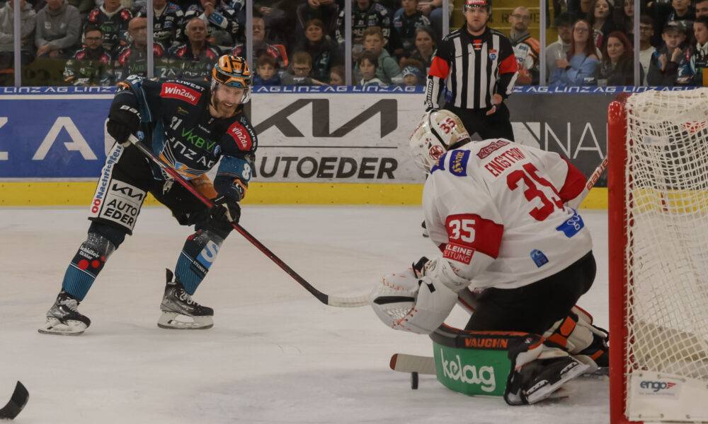 99 times eehl-keeper ends his career!