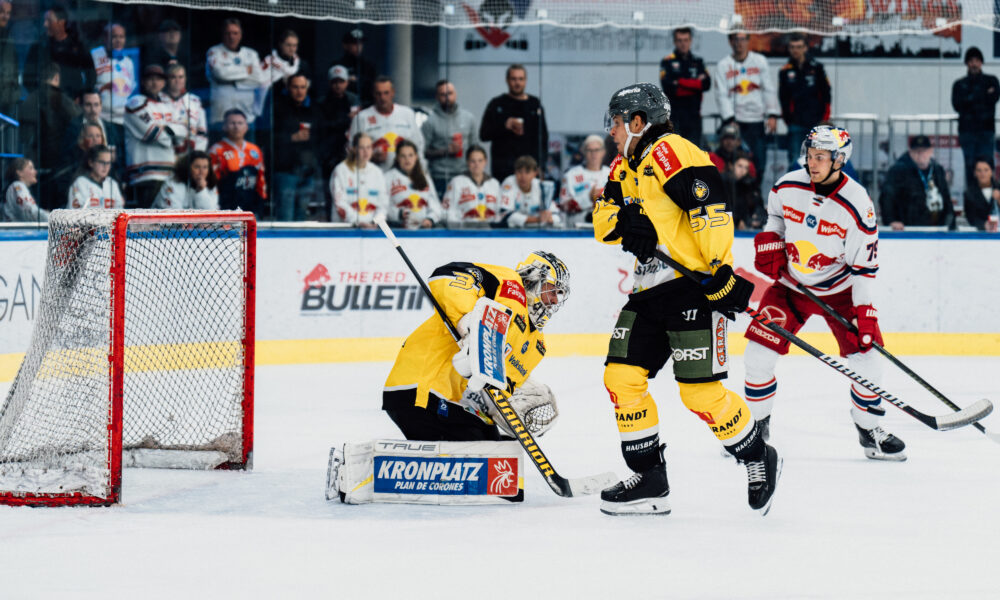 After Disput with the HC Puster Valley: Goalkeeper Olivier Roy has found a new club!