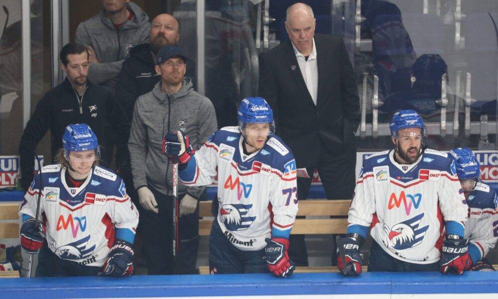 DEL: The biggest profits at Wetten on Adler Mannheim