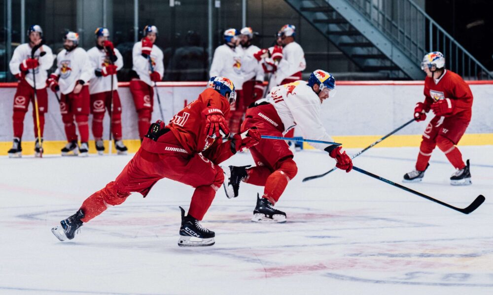 ICEHL: Master Red Bull Salzburg starts in the Preseason!