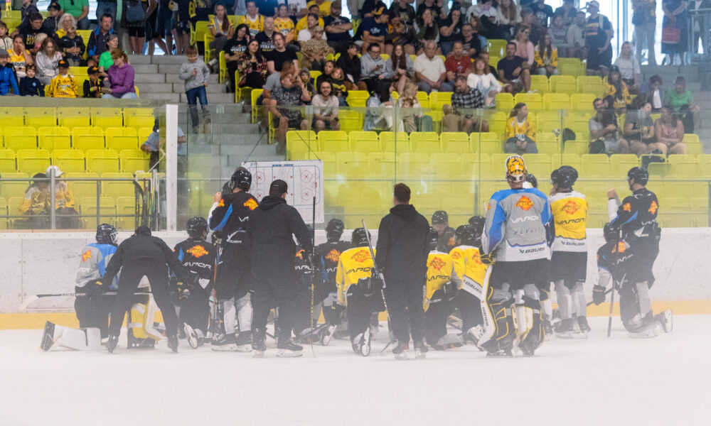 ICEHL-PRESEAN: Vienna Capitals against Fehervar AV19 Live in the stream!