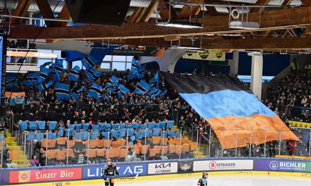 ICEHL: The Black Wings Linz start test run for the new Wings-United sector