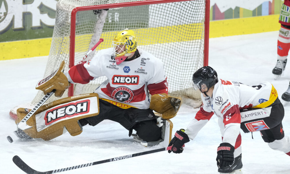 ICEHL: The Pioneers Vorarlberg want to become faster and more aggressive this year!