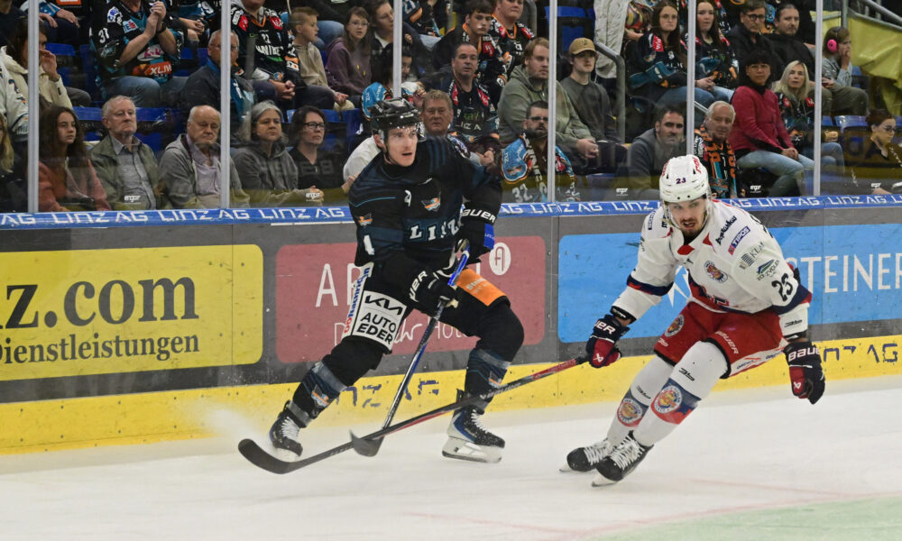 Black wings linz lose test against Zvolen only!