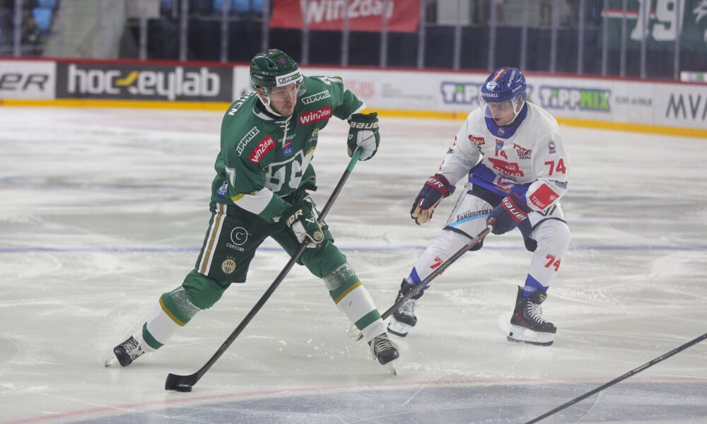 Ferencvaros-GM Szabolcs: "The Hungarian terbies will be special"