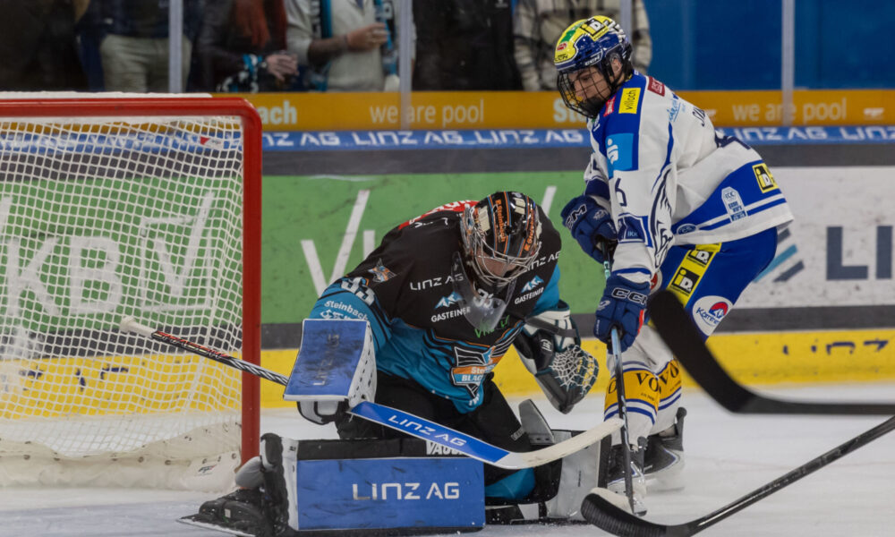 VSV talent Sintschnig: "I suck up a lot of knowledge every day"