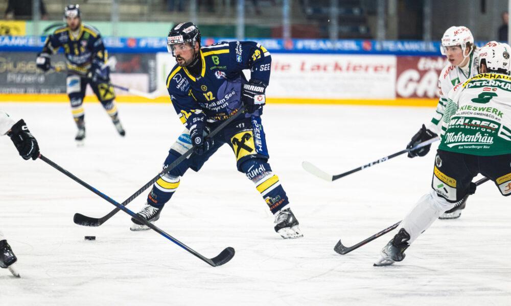 Extremely bitter: the Zell polar bear hospital continues to grow!