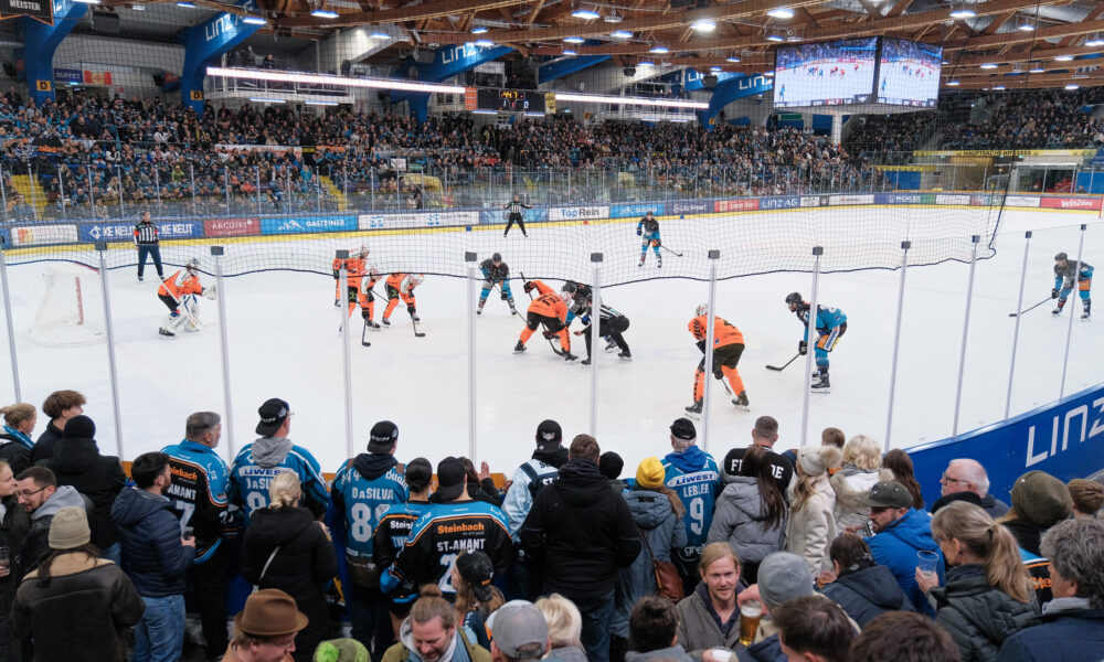 ICEHL: Black Wings Linz manage to break free against the Graz99ers!