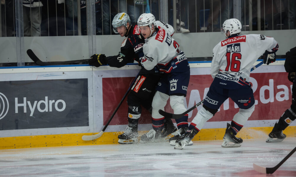 ICEHL: Fehervar still in free fall after defeat against the Vienna Capitals!