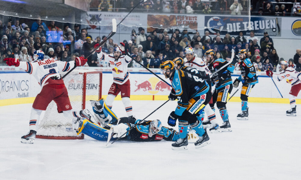 ICEHL: Red Bull Salzburg also has to do without eight cracks against the Black Wings Linz!