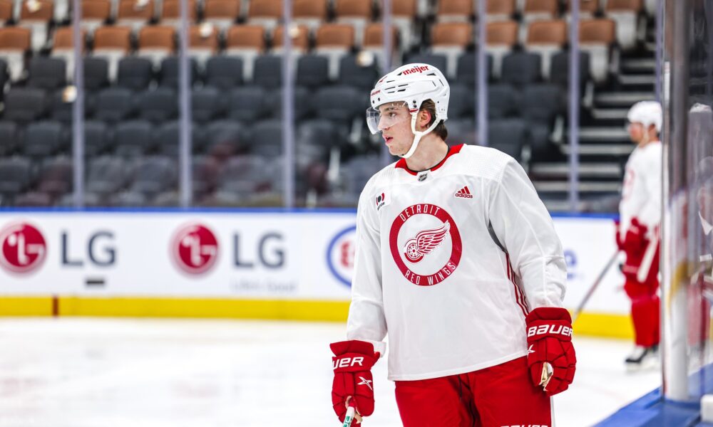 NHL: Rossi and Kasper start the new season with clear goals