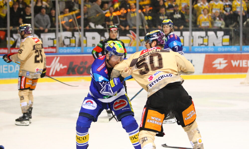 ICEHL: The VSV finally wants to get a “threesome” again with the Vienna Capitals
