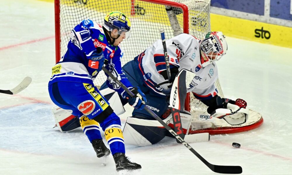 ICEHL: VSV steals three points from Hungary!