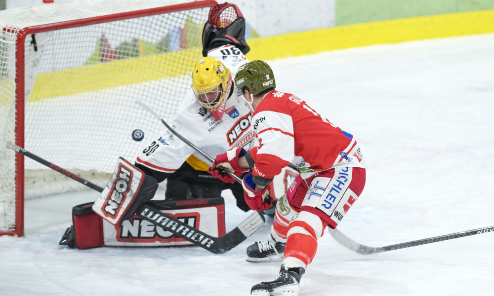 HCB Südtirol leaves nothing to be desired against the Pioneers Vorarlberg!
