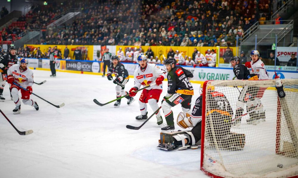 Salzburg's winning streak also extends to the Pioneers Vorarlberg!