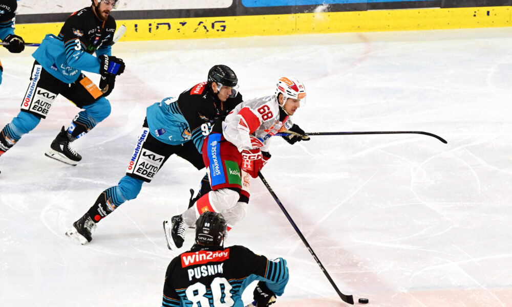 Almost complete: The Black Wings Linz finally want to take points from the KAC!
