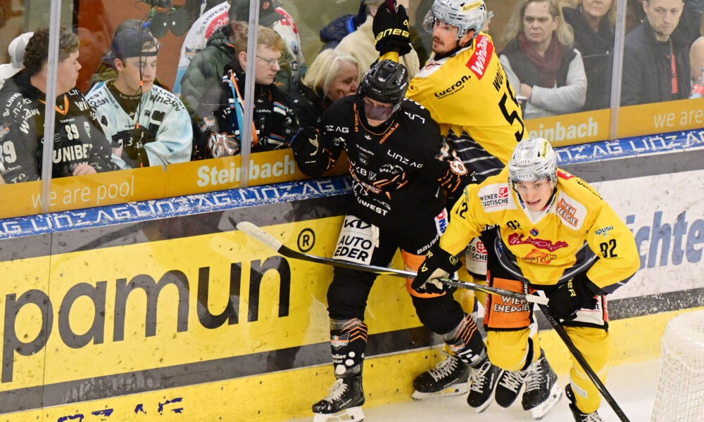 Black Wings before the duel with the Vienna Capitals: “It will be a game with playoff character!”
