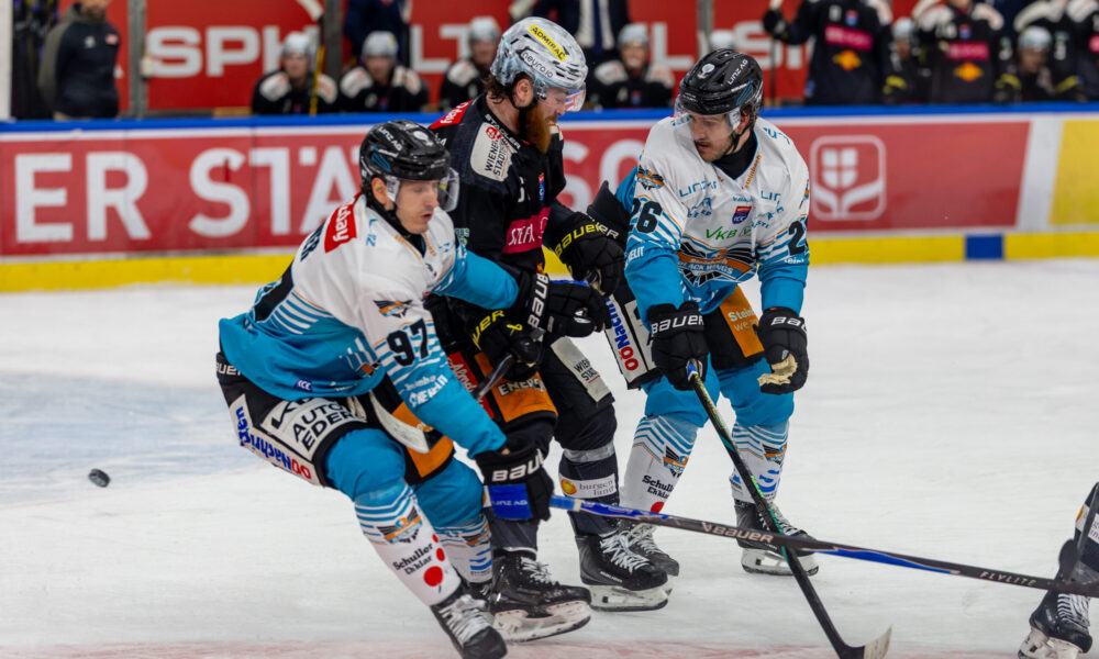 ICEHL: Big relief for the Vienna Capitals after fixing the pre-playoffs!