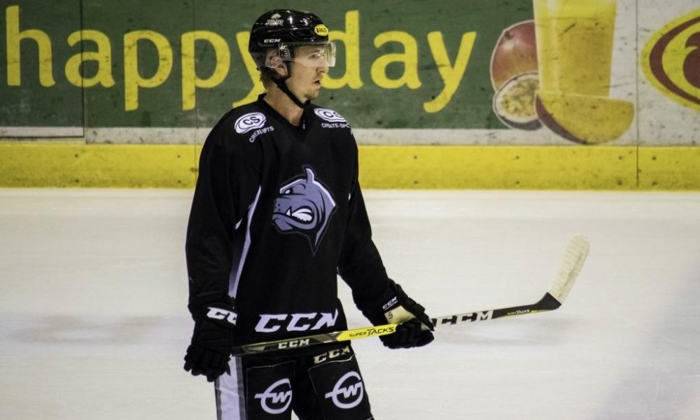 Comeback: Ex-ICEHL giant is back in the league!