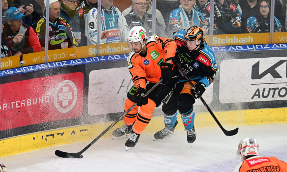 “Could work” – Graz99ers before extension with absolute top performers!