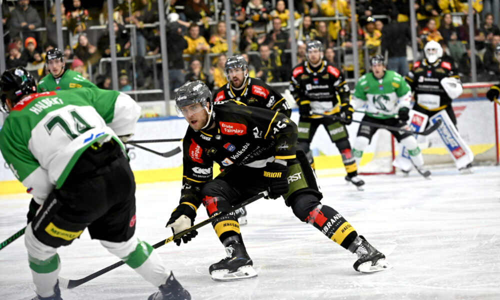 ICEHL playoffs: Pustertaler Wolves start the semifinals with a shutout success!