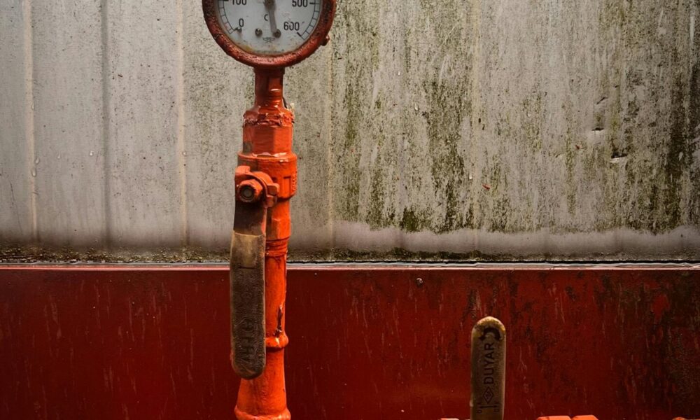 Pressure to make decisions under time pressure: What does ice hockey teach us about real decision-making skills?