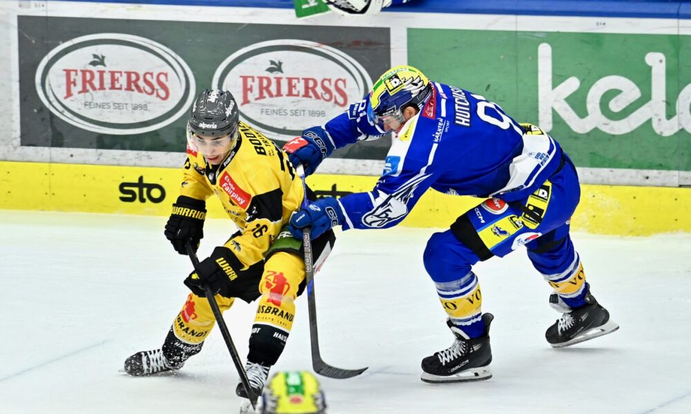 Transfer market: ICEHL team extends long-term contract with striker!