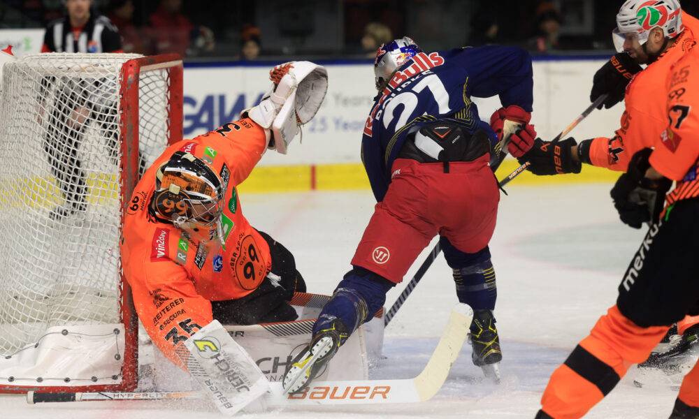 Double departure: Two former ICEHL professionals without a club again!