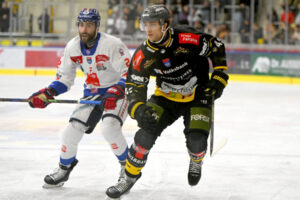 ICEHL: Pustertal striker already under contract?