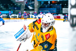 ICEHL: This is the “Team of the Season” 2025/26!