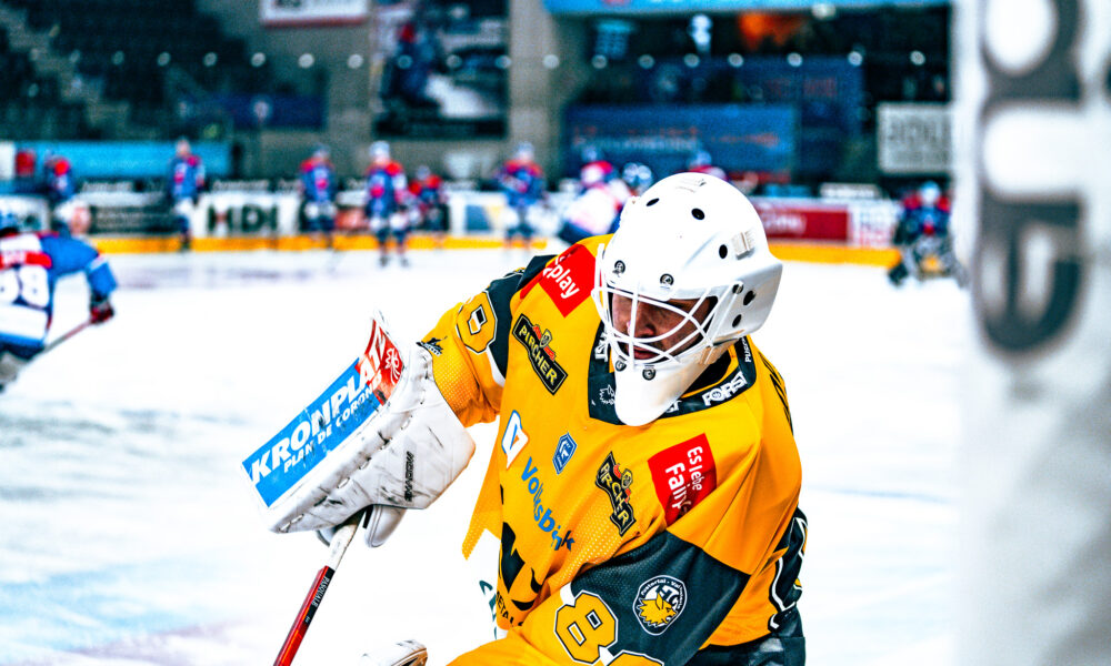 ICEHL: This is the “Team of the Season” 2025/26!