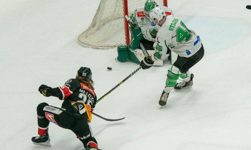 New contract: Ex-ICEHL goalie has clarified his future!