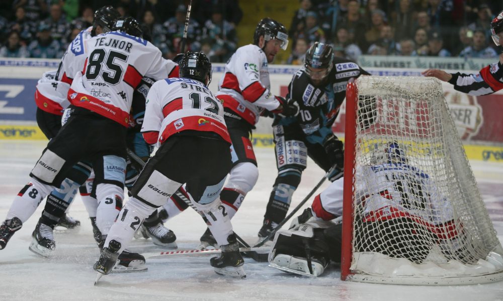 Separated: Ex-ICEHL top player would be available again!