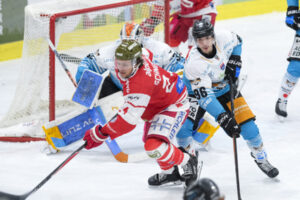 Top players before staying: ICEHL team is also planning with a local core!