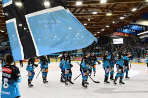 Transfer news: Black Wings guide Canadian center to the Danube!
