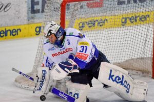 Transfermarkt: Ex-VSV keeper and crowd favorite available again!