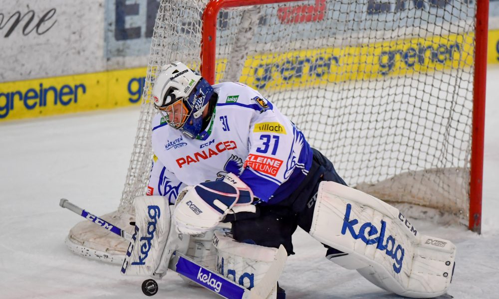 Transfermarkt: Ex-VSV keeper and crowd favorite available again!