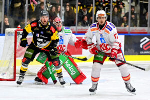 After a top season: Nick Pastujov has a new employer!