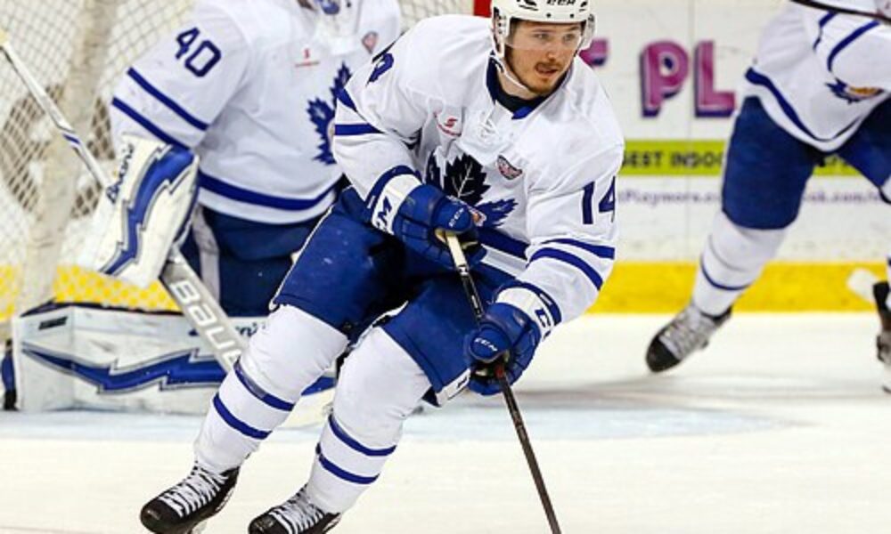 Great rumor: DEL top player before moving to the ICEHL?